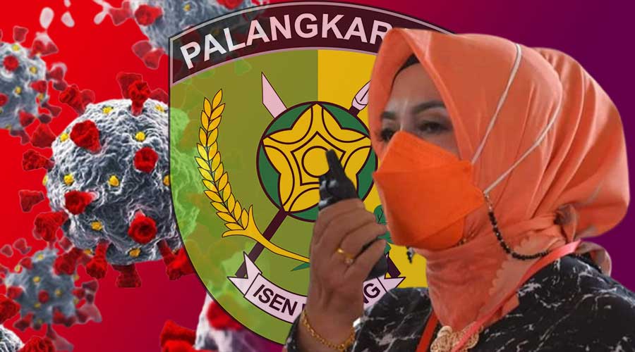 Sementara itu dijelaskan Emi Abriyani, berdasarkan analisa penularan di Kota Palangka Raya sepanjang pekan ini berasal dari transmisi lokal yang terus